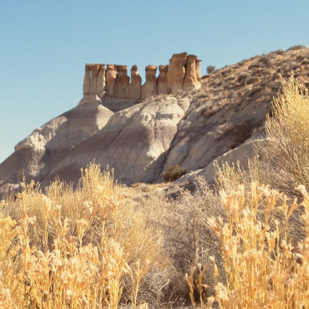 View Bisti de na Zin by Terry Gaume