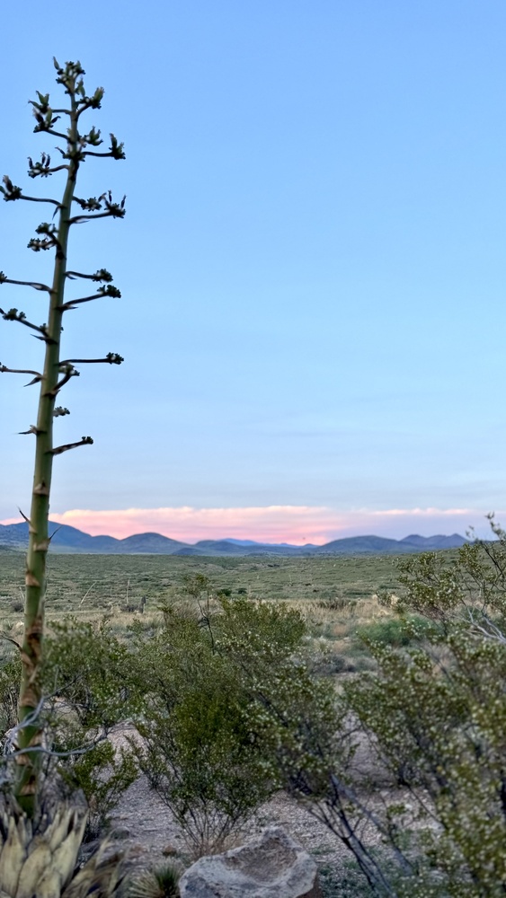 View End of Day by Terry Gaume