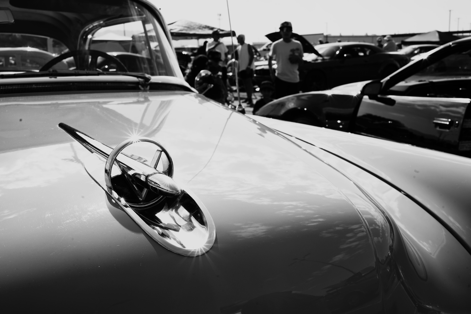 View Two Stars by Terry Gaume