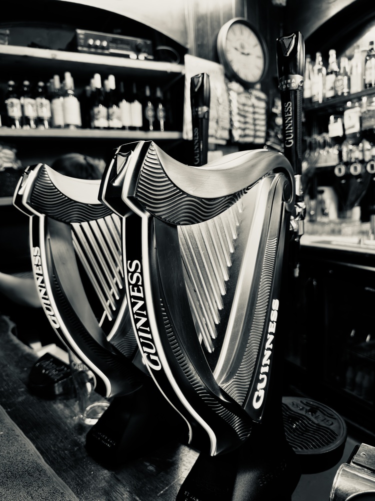 View Guiness by Terry Gaume