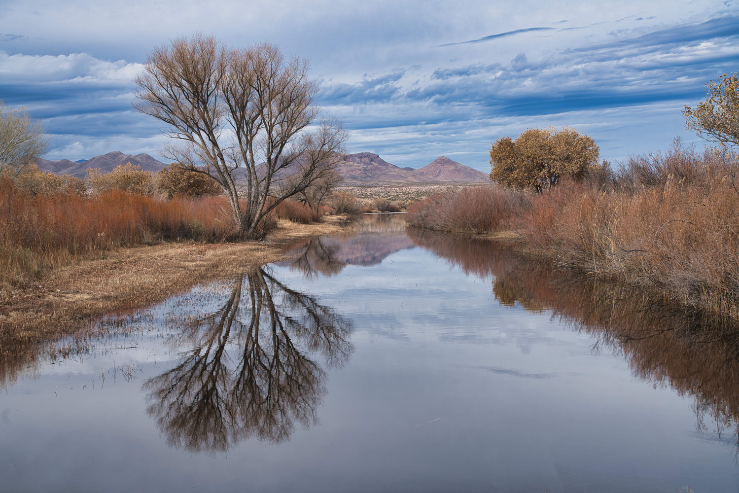 View Peaceful Morning by Terry Gaume