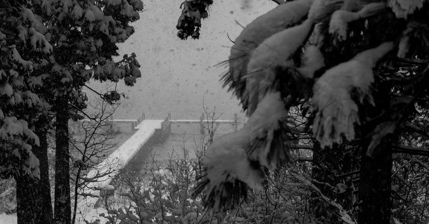 View Untitled 6 by Wallace Gaines