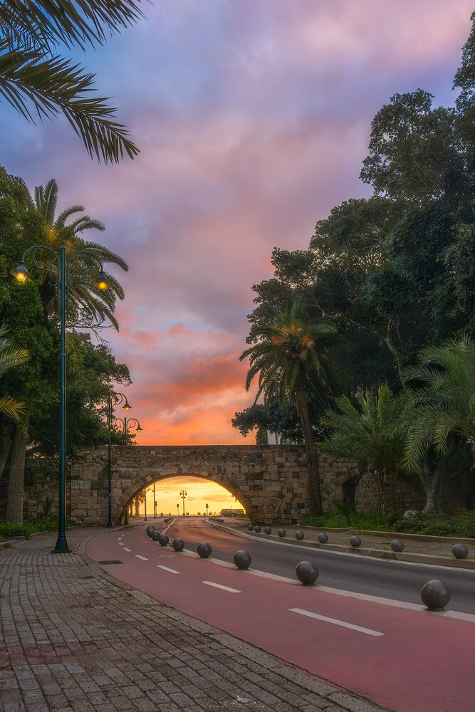 Stone arched gateway glowing with sunset light at the end of a tree-lined road with a red bike lane under a pink and purple sky