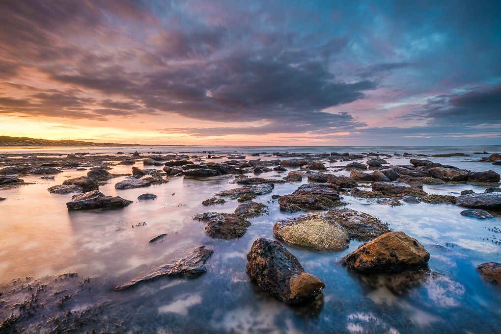 View Dog Beach Sunrise by Paul Brownbridge