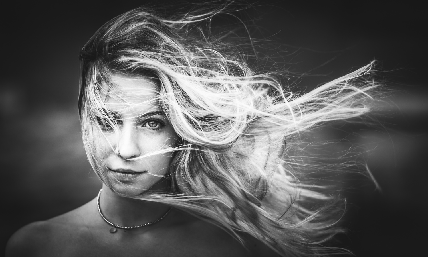 View Untitled 12 by Vince R