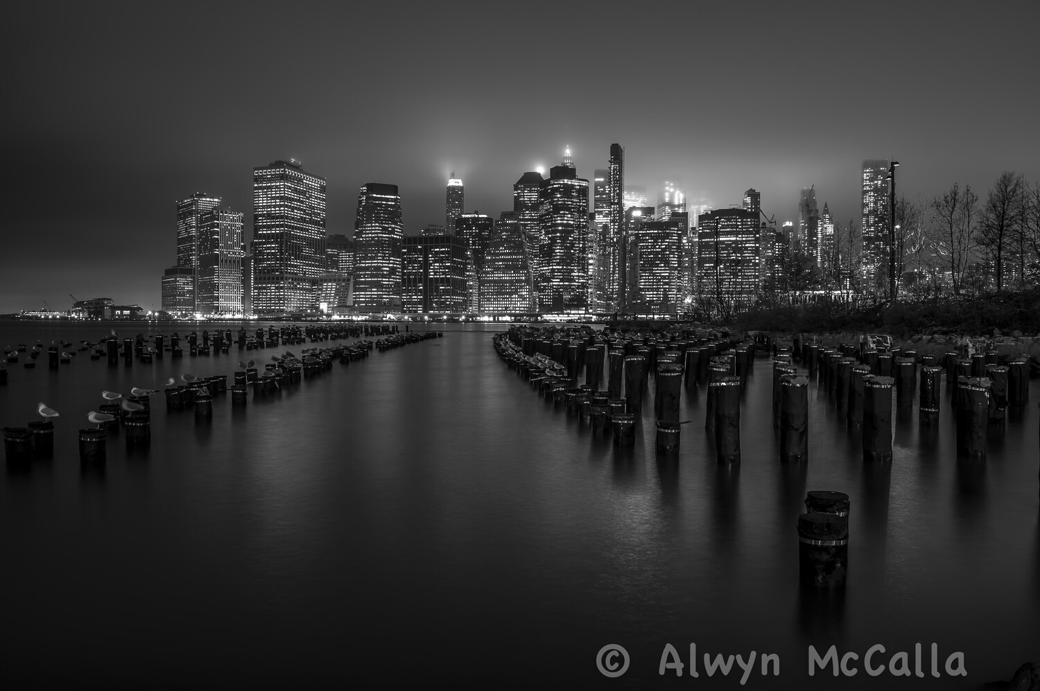 Manhattan skyline at night with wooden pilings in foreground, black and white long exposure