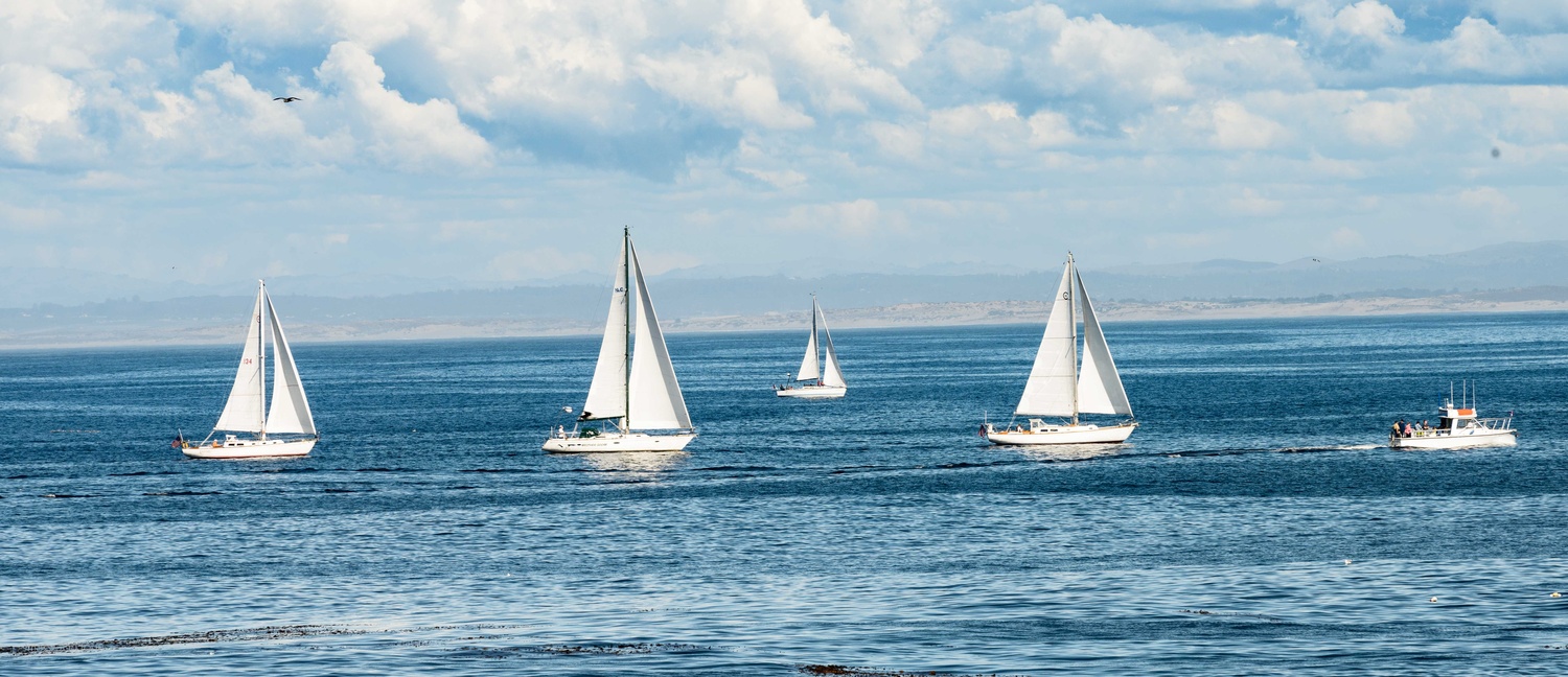 View Saliboats by Tony Walter