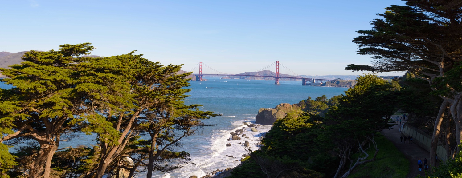 View Golden Gate Bridge by Tony Walter