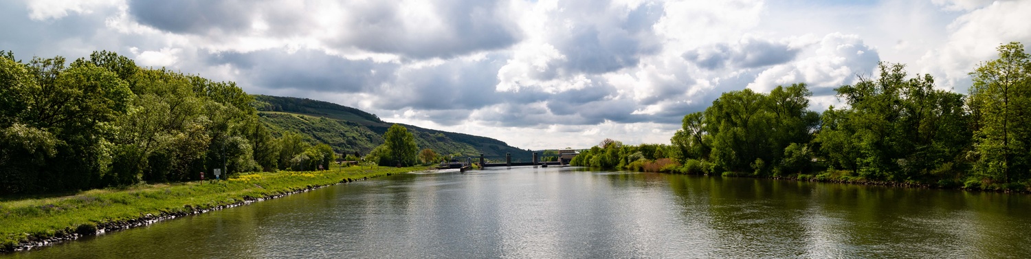 View Along the Main by Tony Walter