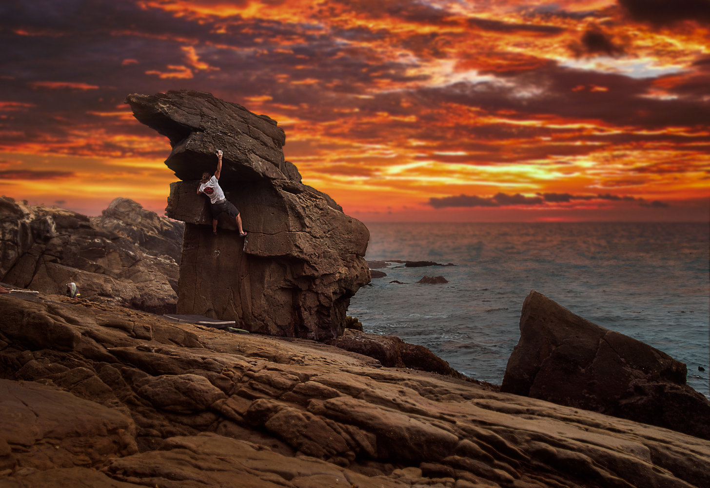 View Ft. Ross Blockhead by William Martin