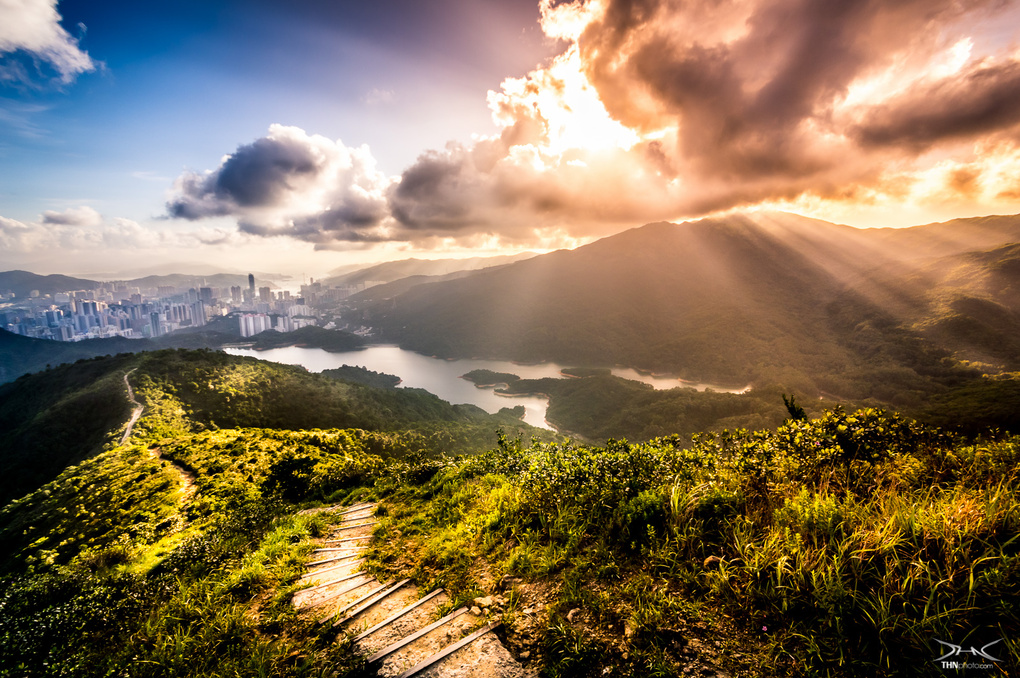 View Hong Kong city overlook from hilltop at sunset by hon ning tse