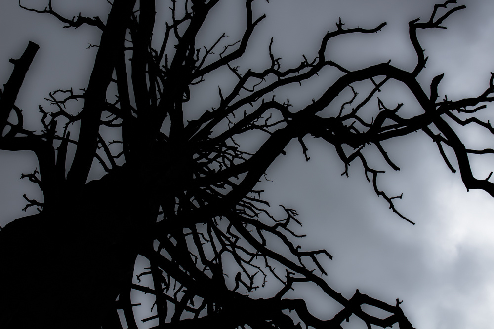 View Untitled 2 by Jeff Colburn