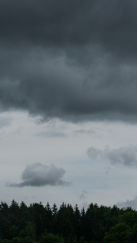 Dark storm clouds gather above a dense evergreen forest under a dramatic gray sky