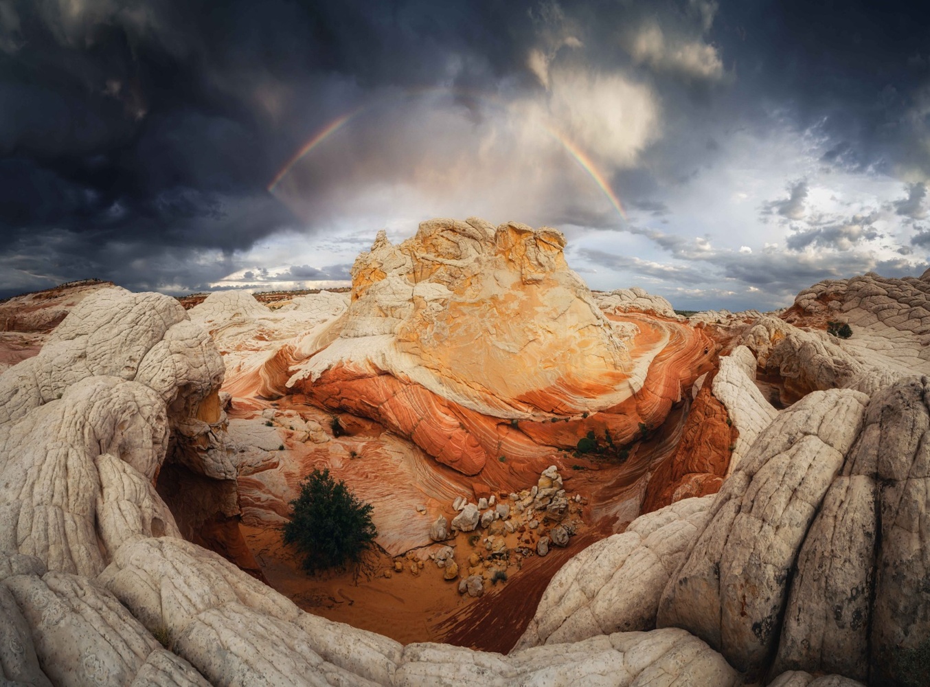 View Untitled 1 by julien dzuidzia