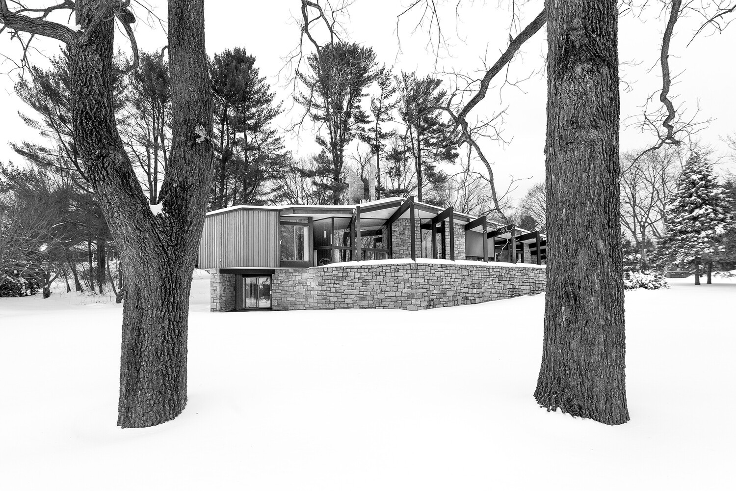 View Untitled 7 by Peter Arquette