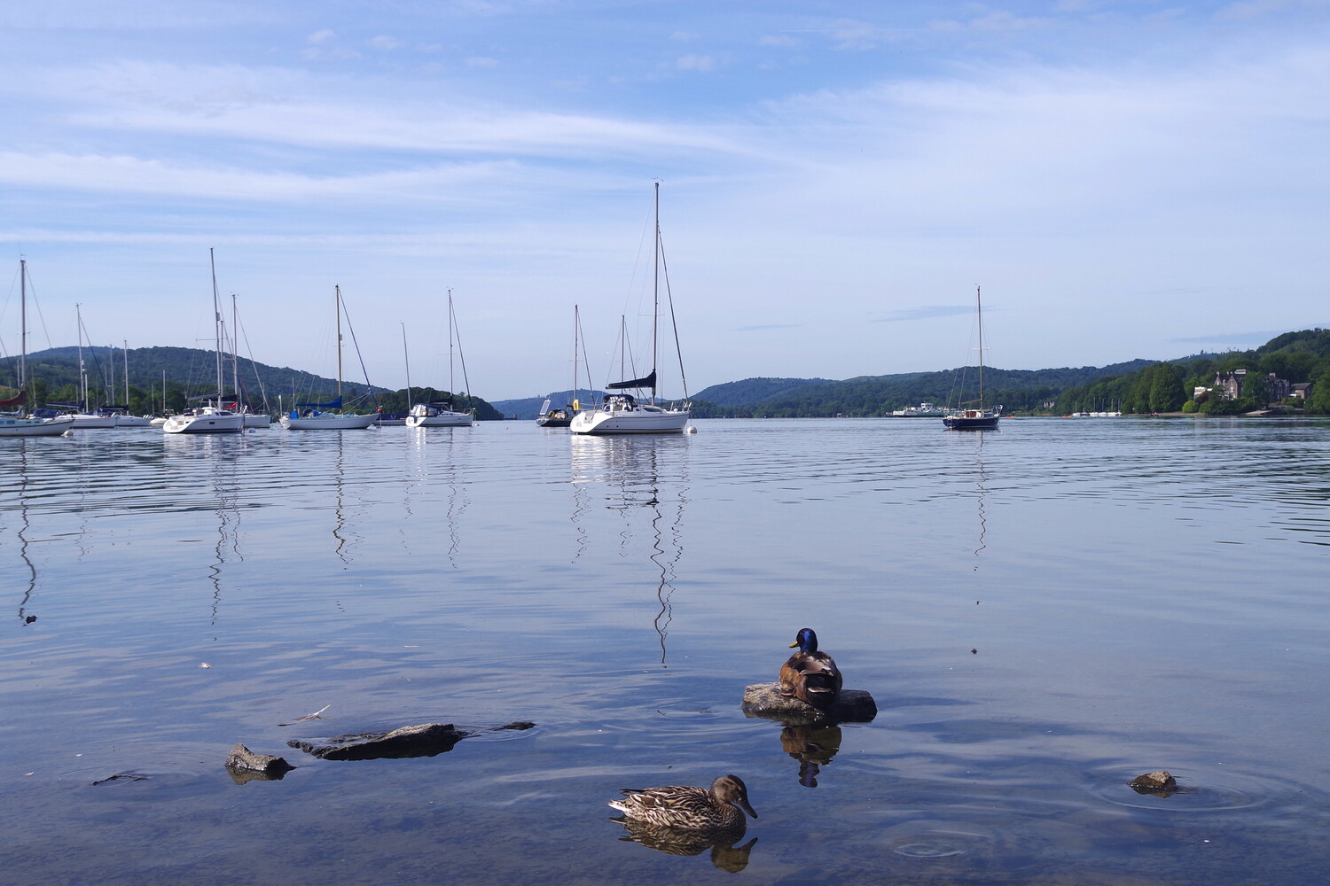 View Lake Windemere, Lake District, England by Kaz Empson