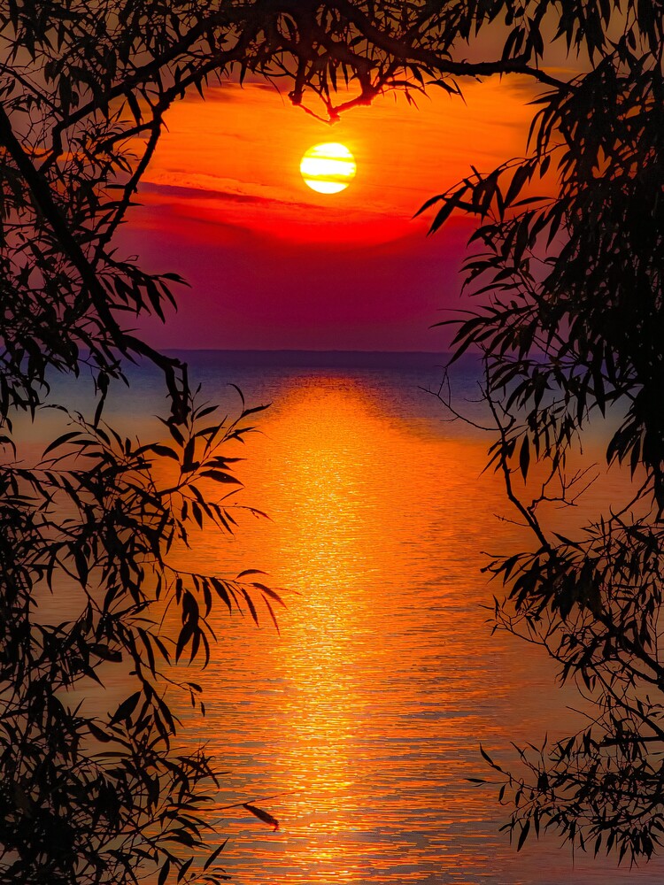 View Untitled 2 by Simon Hoffman