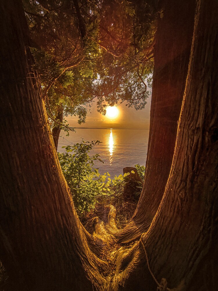 View Untitled 1 by Simon Hoffman