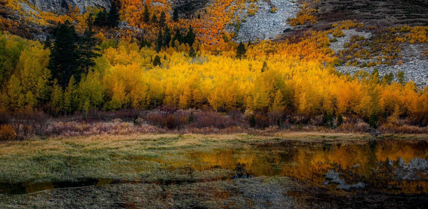 Golden aspens reflected in still water with granite peaks and evergreen forest beyond
