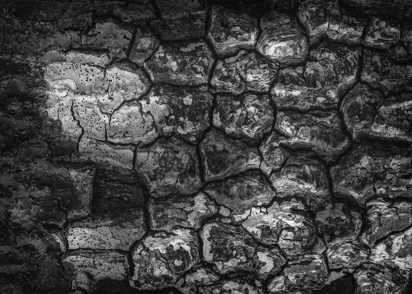 Close-up black and white photograph of weathered stone wall with irregular mortar joints