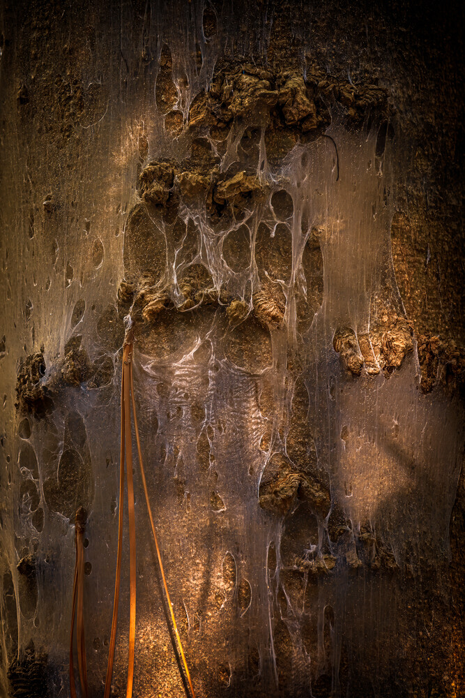 Weathered metal surface with rust, corrosion, and organic growth creating abstract patterns
