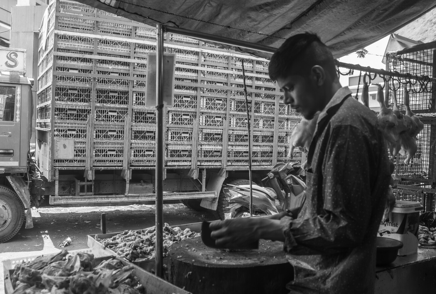 Man handling poultry next to transport crate filled with chickens in black and white
