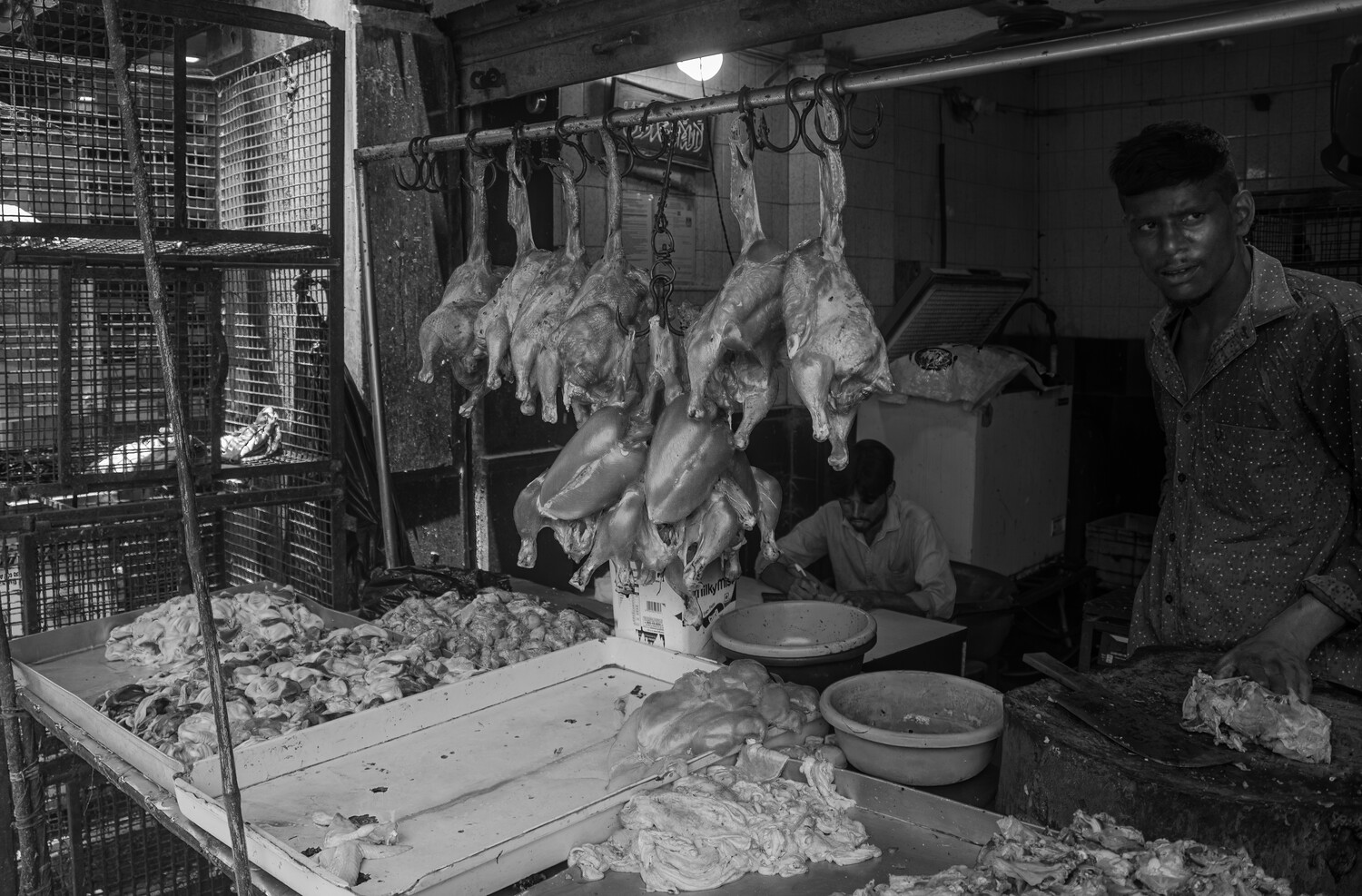 Butcher shop worker processing hanging poultry carcasses in black and white
