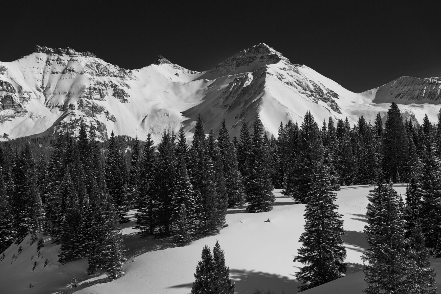 Black and white winter mountain scene with snow-covered peaks rising above a dense stand of evergreen conifers in the foreground.