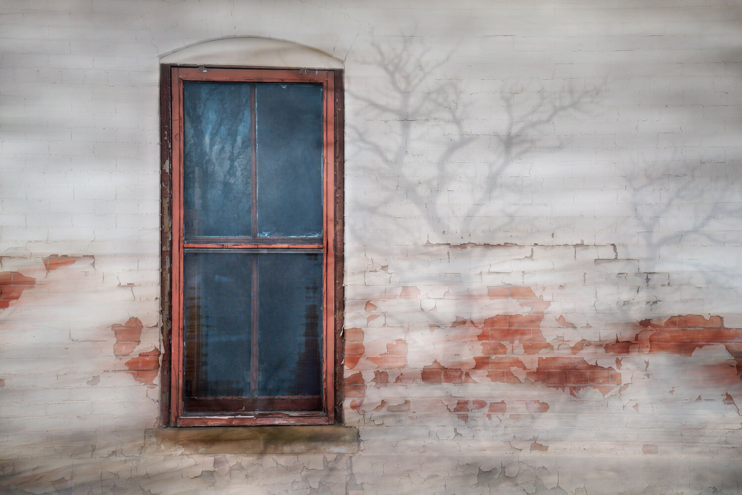 Narrow red-framed window in a weathered whitewashed wall with peeling paint, with a bare tree shadow cast across the wall to the right.
