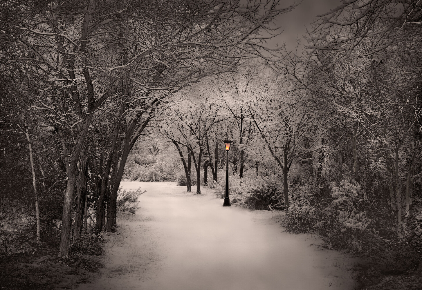 Snow-dusted path curving through a winter park, lit by a single glowing lamp post among bare trees in sepia tones