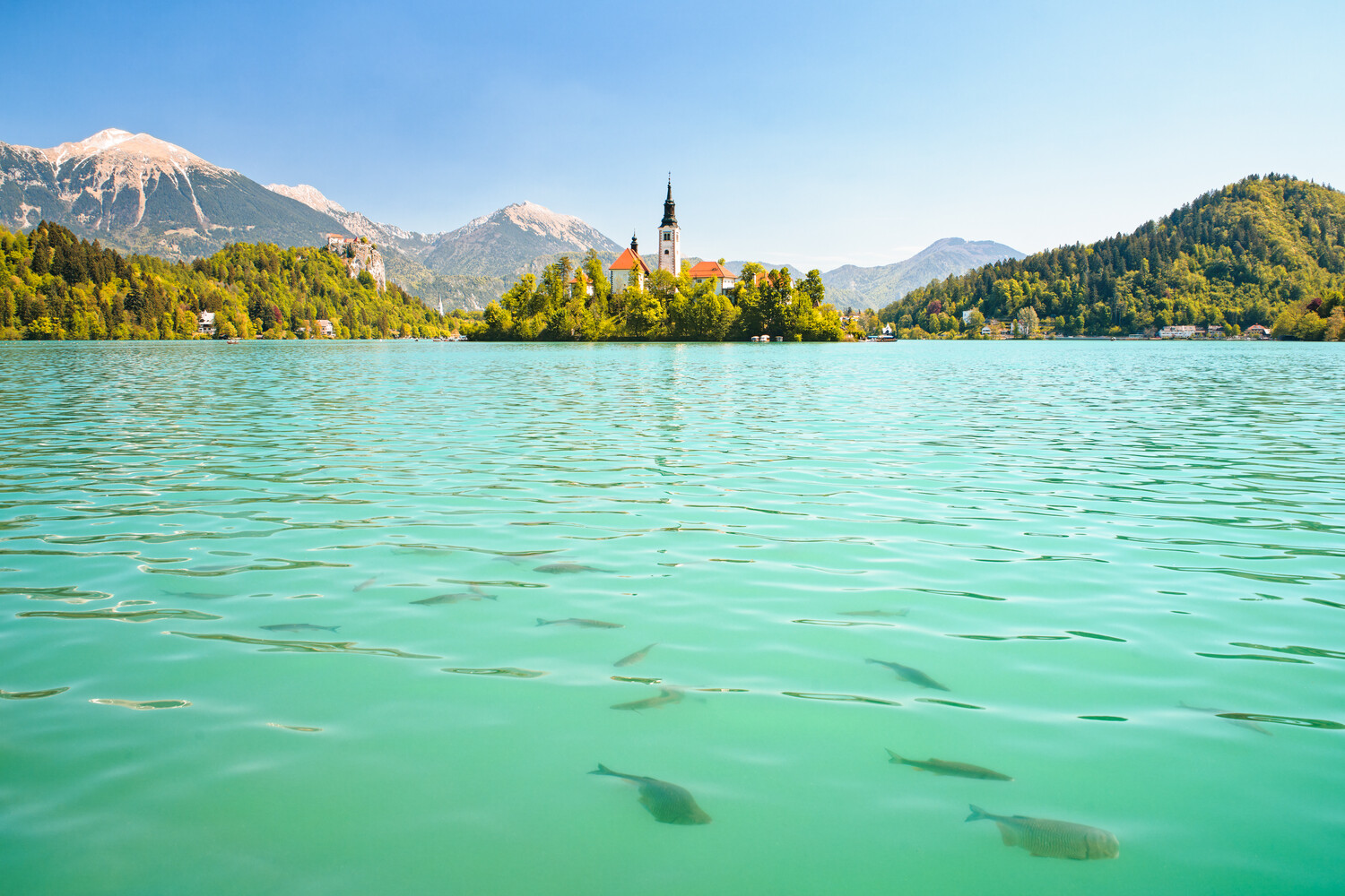 Alpine lake with turquoise water, church spire, and snow-capped mountains under clear sky