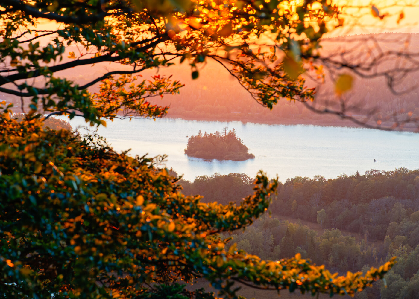 Forested shoreline with small island at sunset, framed by golden autumn foliage
