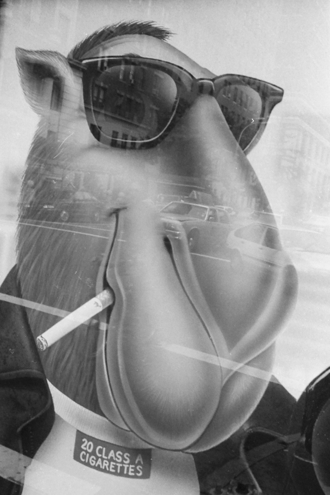View Untitled 1 by Dave Buchwald