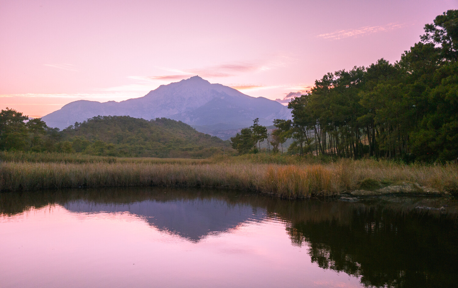 Mountain reflected in still water at dusk with forested shoreline