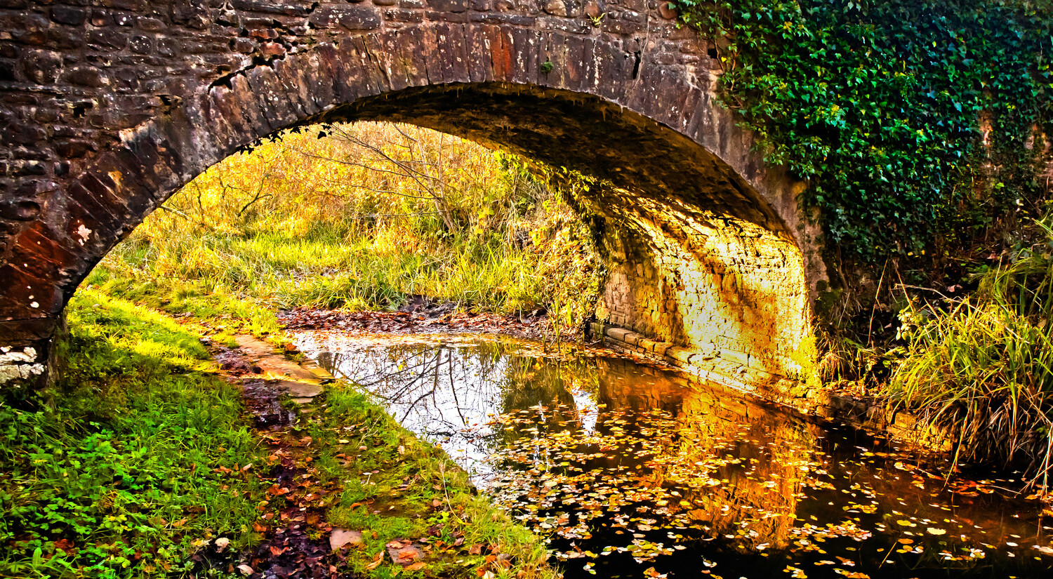Stone arch bridge spanning a stream with lush moss and autumn foliage