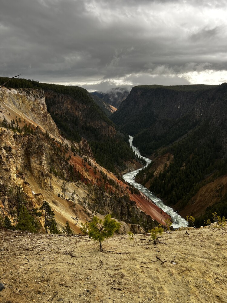 Grand Canyon of the Yellowstone with river winding through forested canyon under dramatic cloudy sky