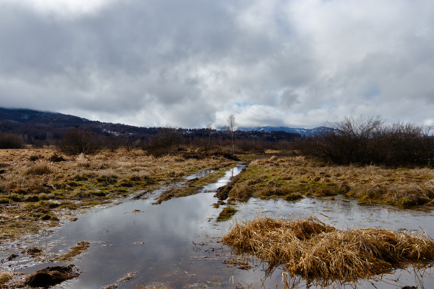 View High Water by Dejan Trajkovic
