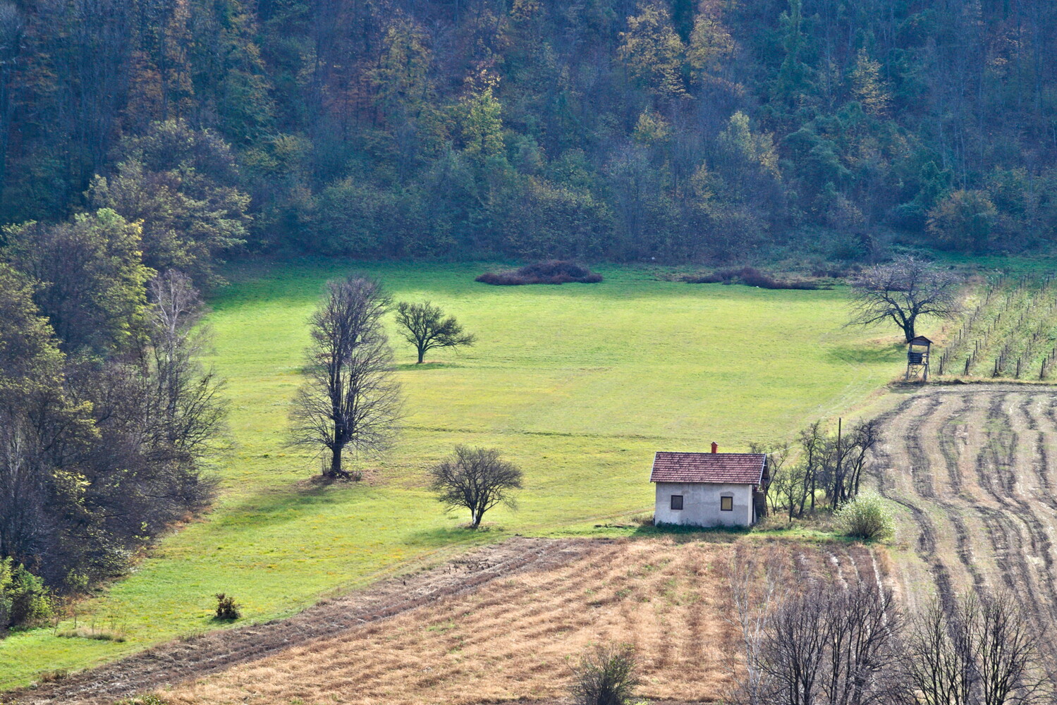 Rural farmhouse in valley surrounded by plowed fields and forest