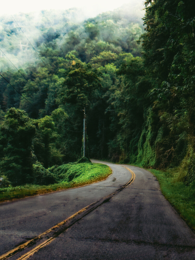 Curved asphalt road with yellow center line cutting through misty forest