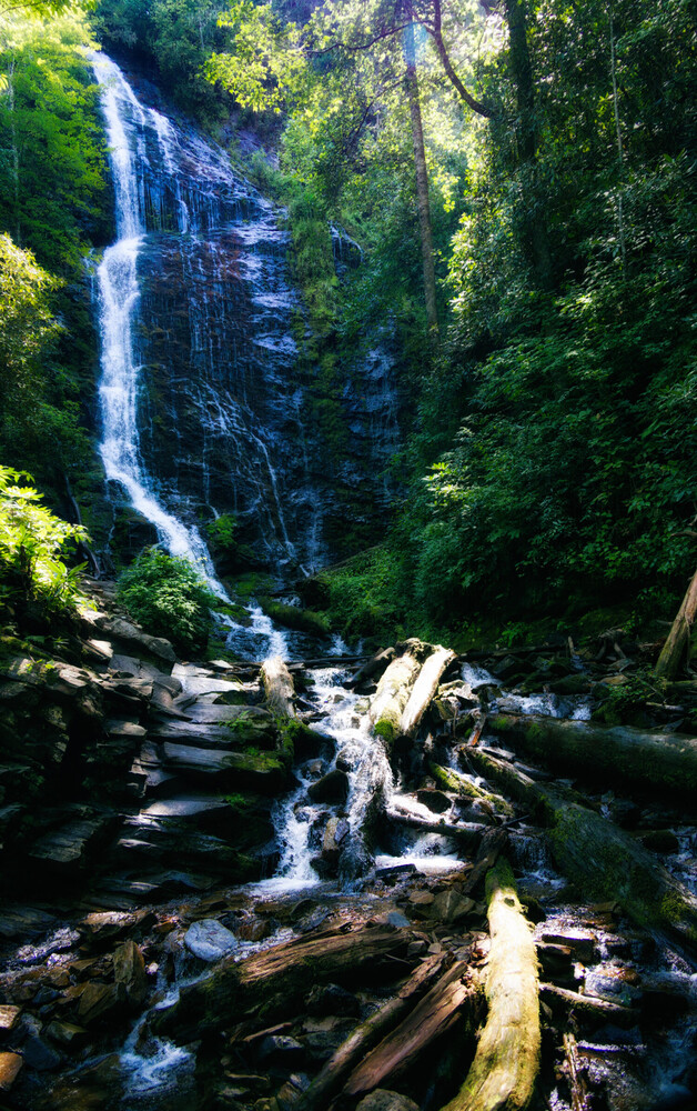 Tall waterfall cascading through dense forest with fallen logs in foreground stream