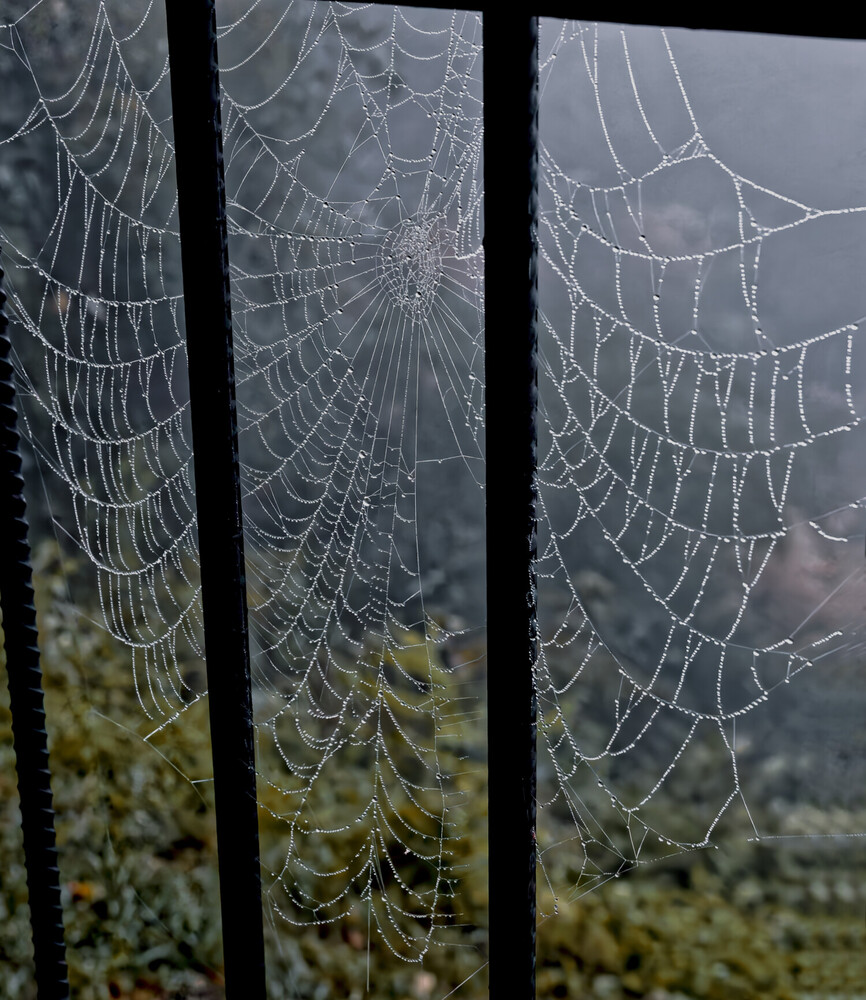 Three dew-covered spider webs suspended on vertical strands with blurred green foliage background