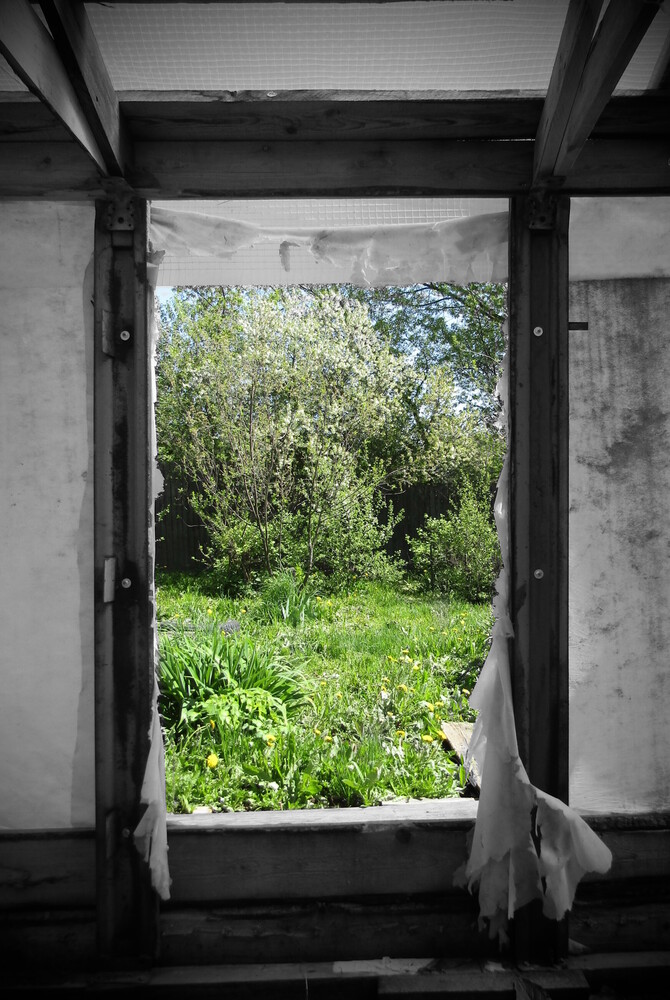 View through open doorway from dark interior to sunlit overgrown garden with trees and vegetation