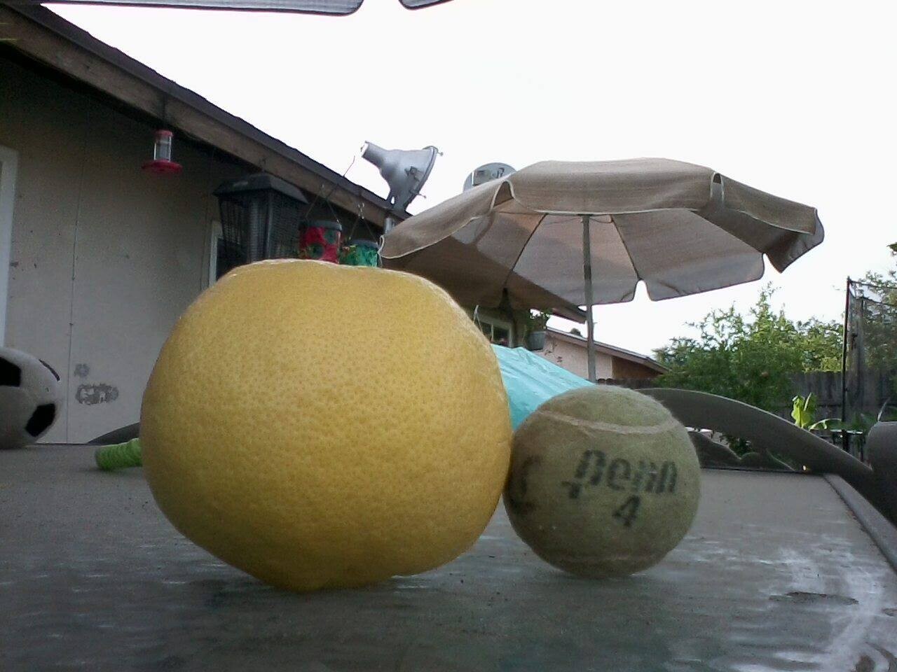 Large yellow sphere and smaller green sphere on wet pavement with patio umbrella and residential building
