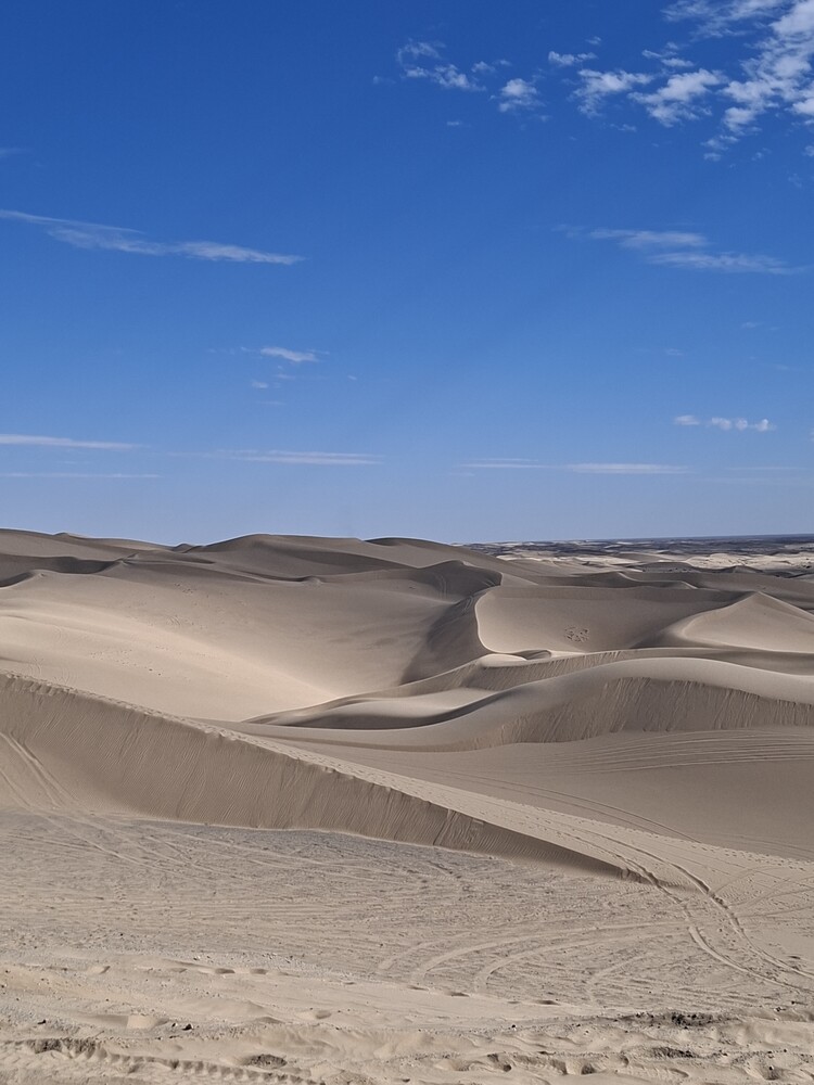 Sand dunes with curved ridges and shadows under clear blue sky