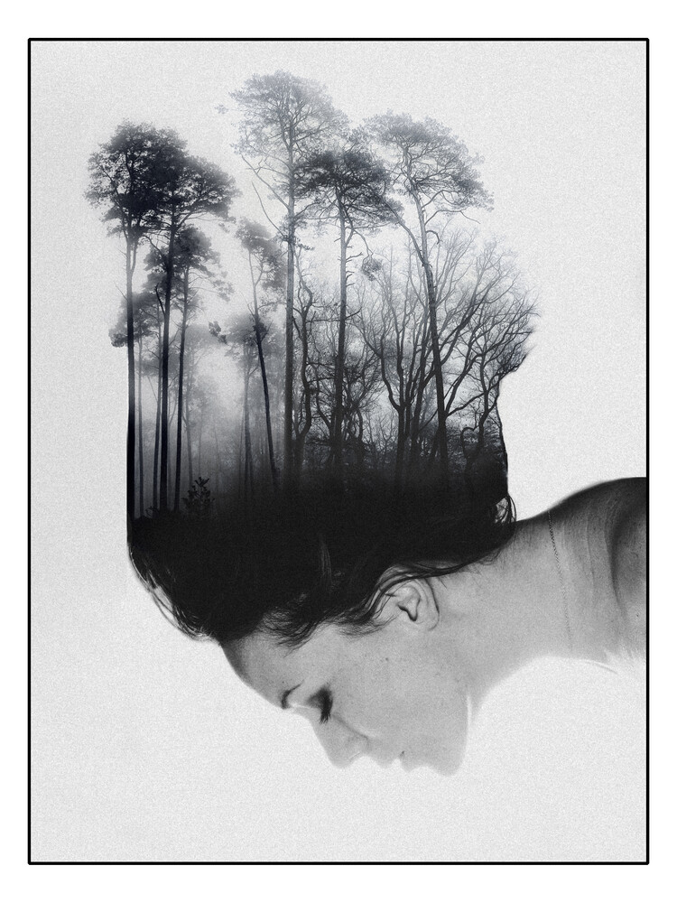 Profile of a person's head in silhouette with a forest landscape double exposure