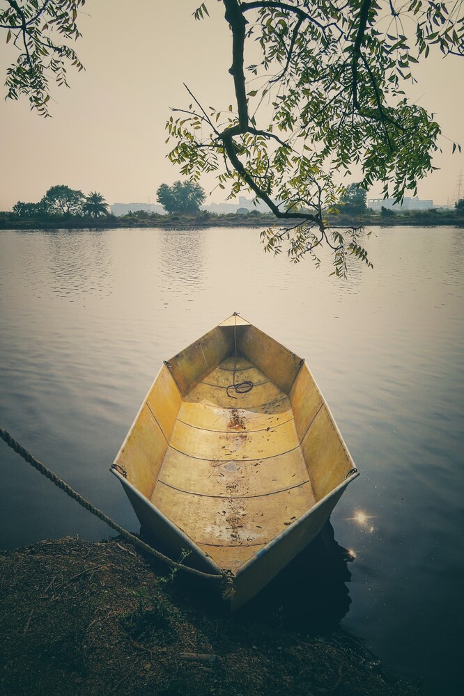Yellow wooden boat moored in calm water beneath overhanging tree branches