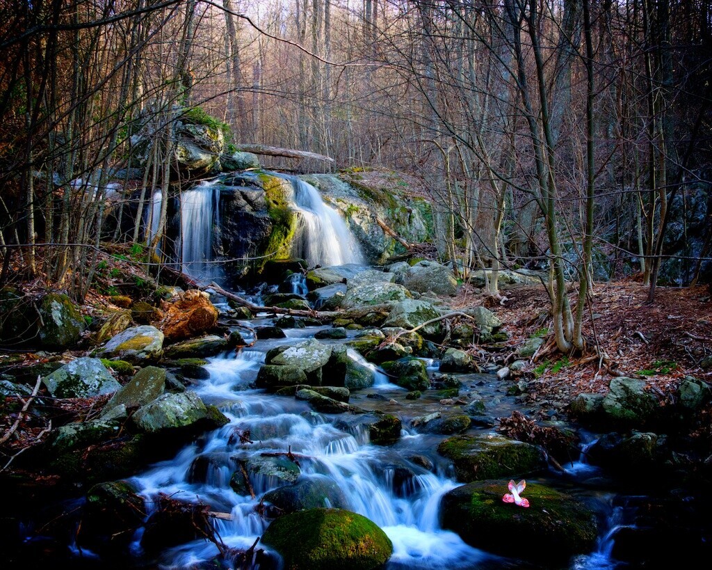 Mountain stream with cascading waterfalls flowing over moss-covered rocks through bare winter forest