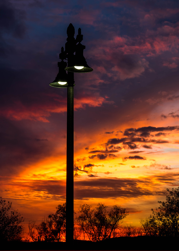 View Lone lamp by Travers Bell
