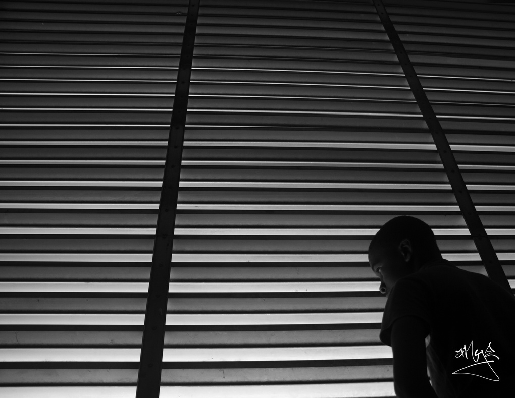 View Lines by kingsley Anye
