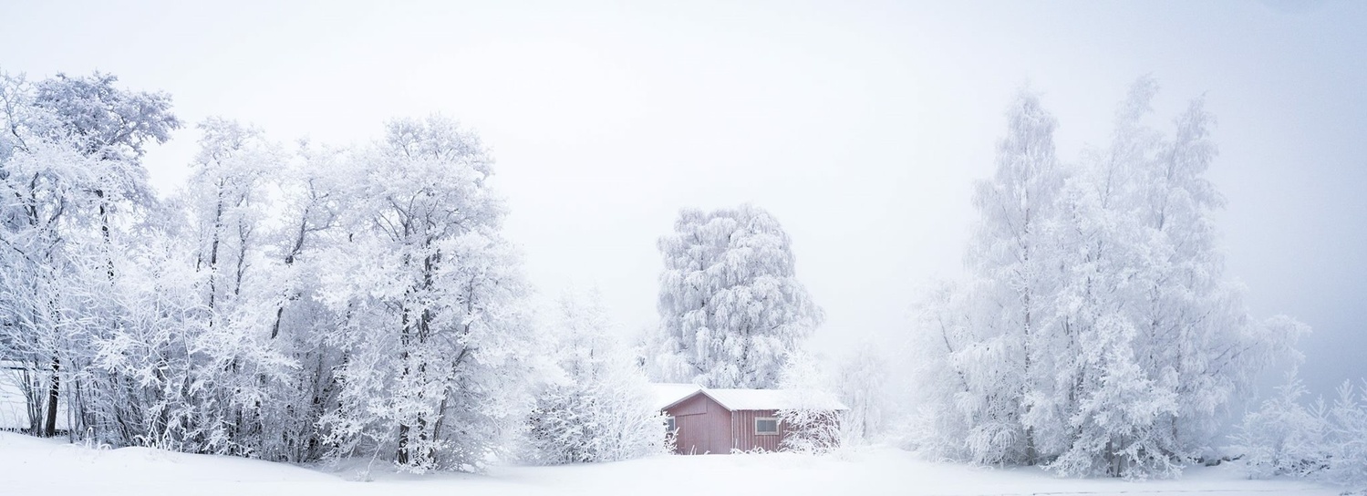 View Winter fog by Fredrik Tjernberg